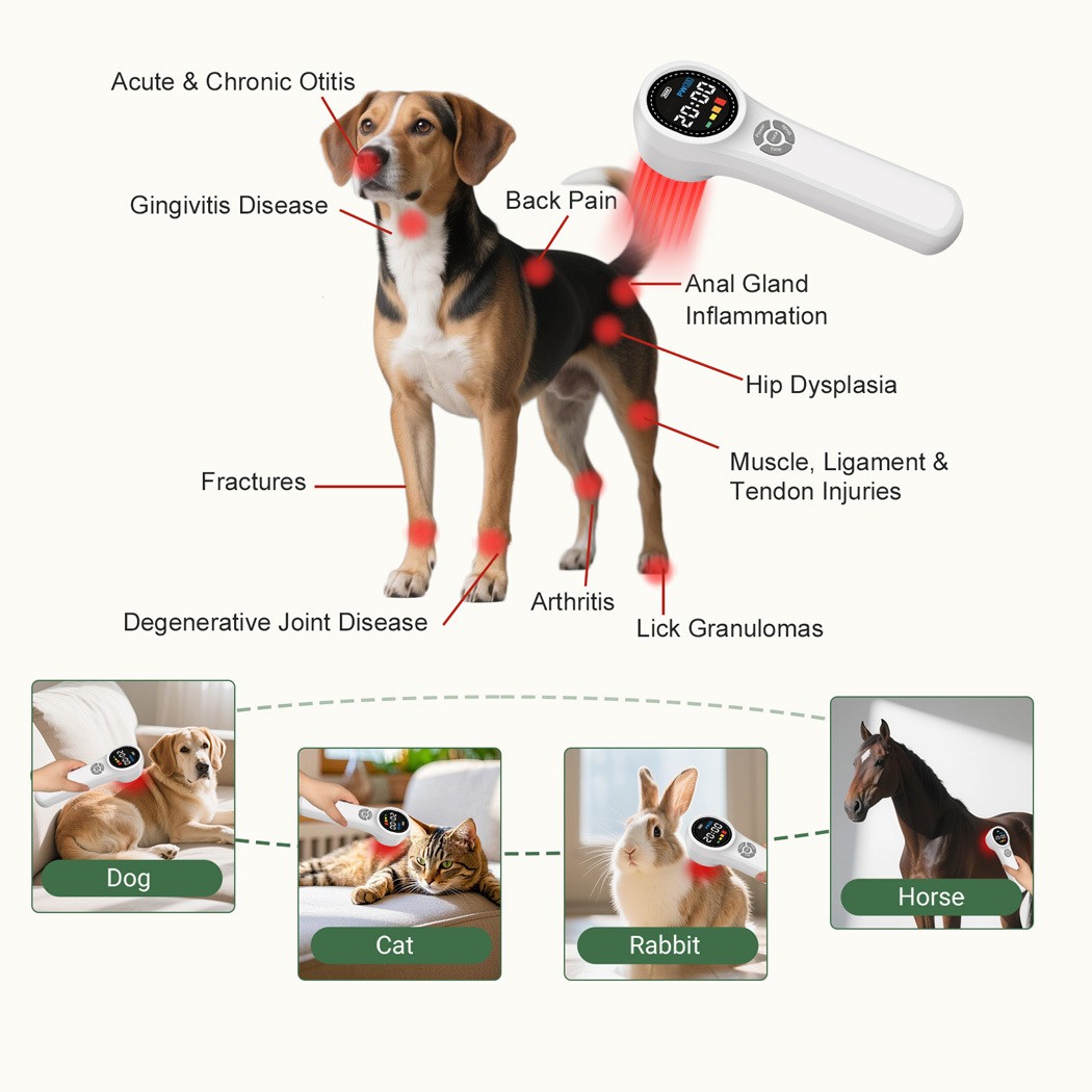 Professional Low-Level Laser Therapy (LLLT) for Inflammation and Cellular Repair