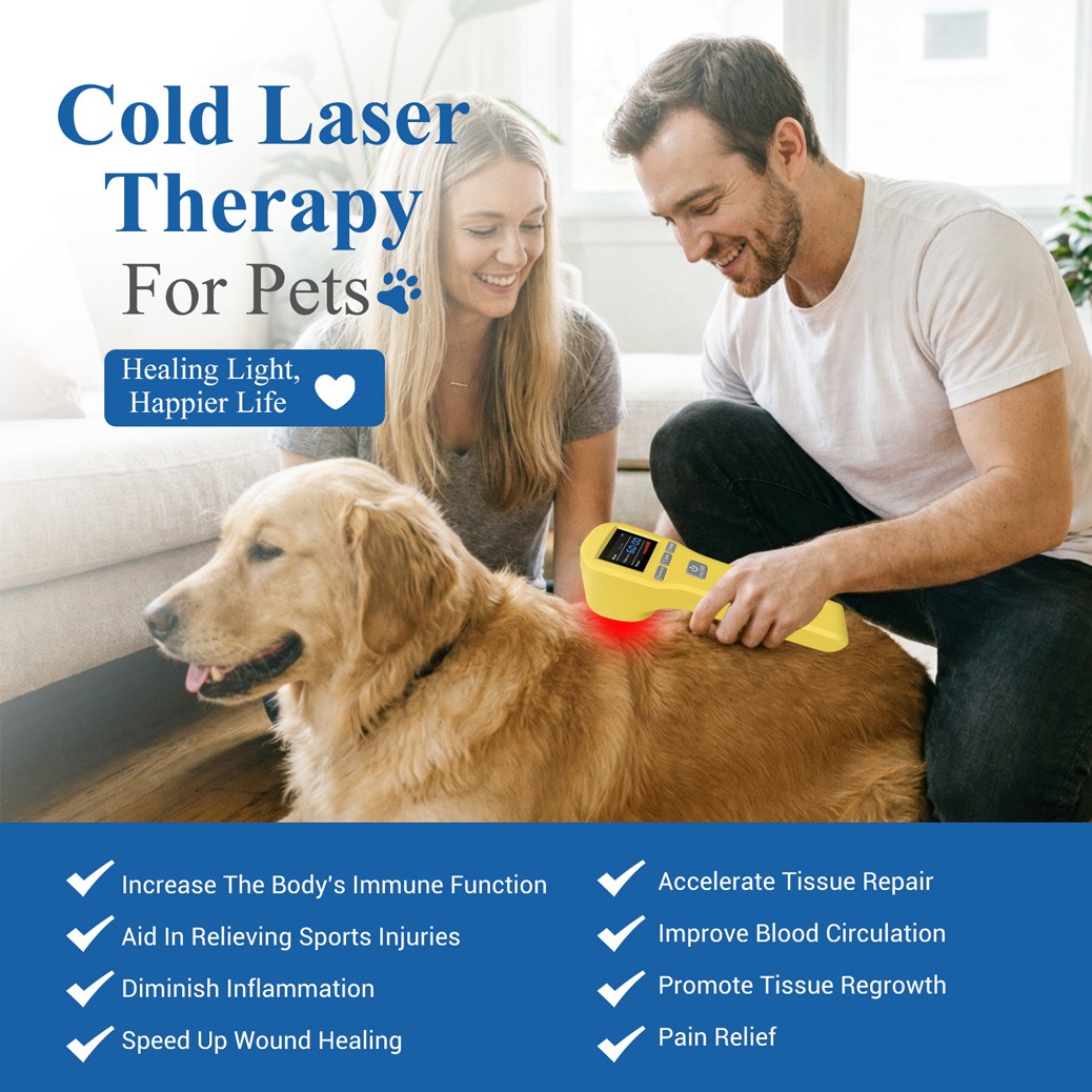 Laser Therapy 808mW Red Light Physiotherapy for Arthritis Heel Spurs Pain Relief
