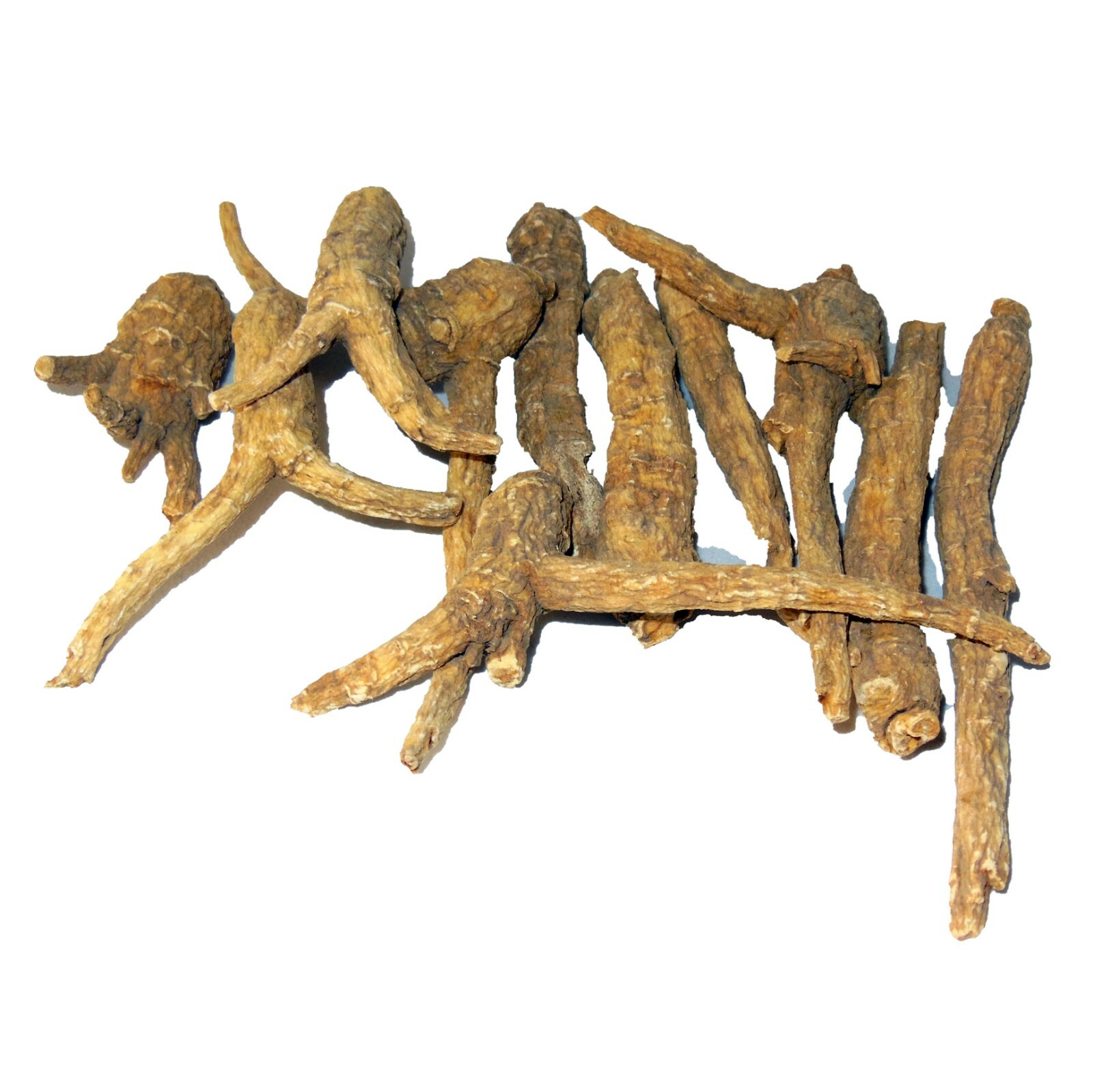 Wisconsin ginseng root 5 years old strong improve energy immunity