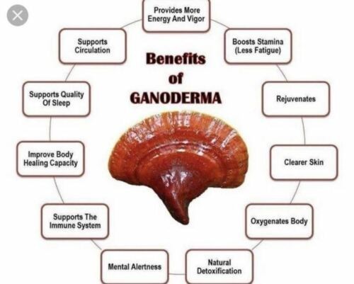 2 Bottles Gano Excel Ganoderma 90 Capsules Lingzhi Reishi Immune Boost USA