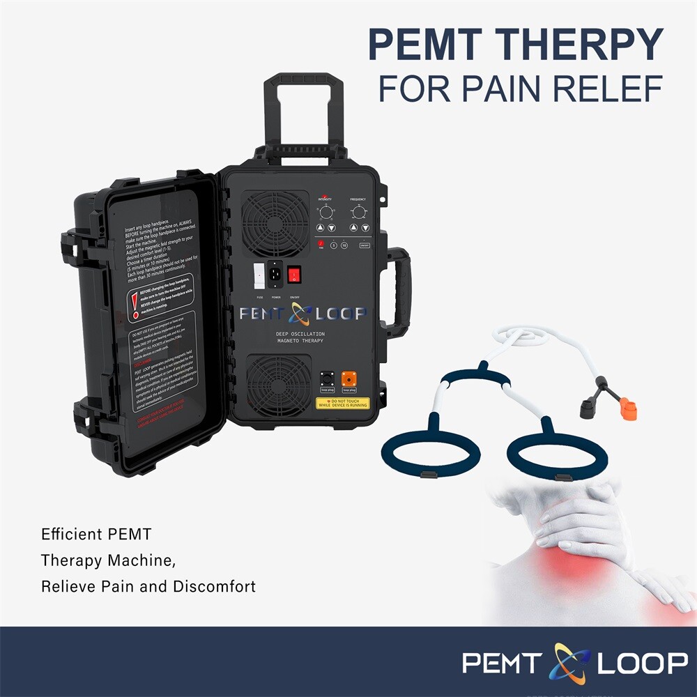 Professional Pemf Physio Magnetic Therapy Pmst Loop Pemf Health Care Device