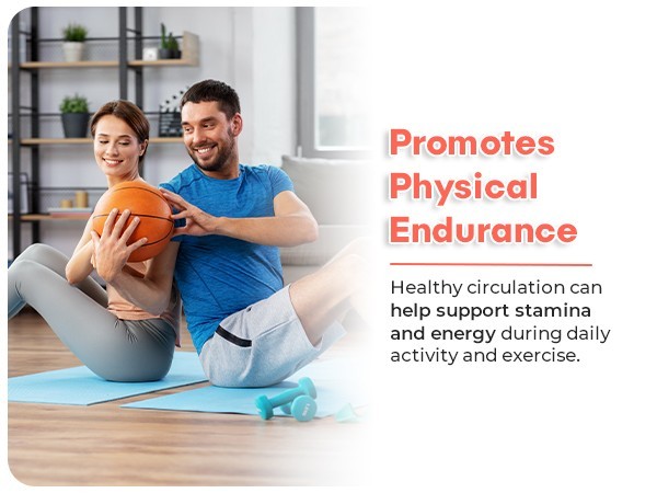 CIRCULATION SUPPORT – Vein & Blood Flow Support Supplement