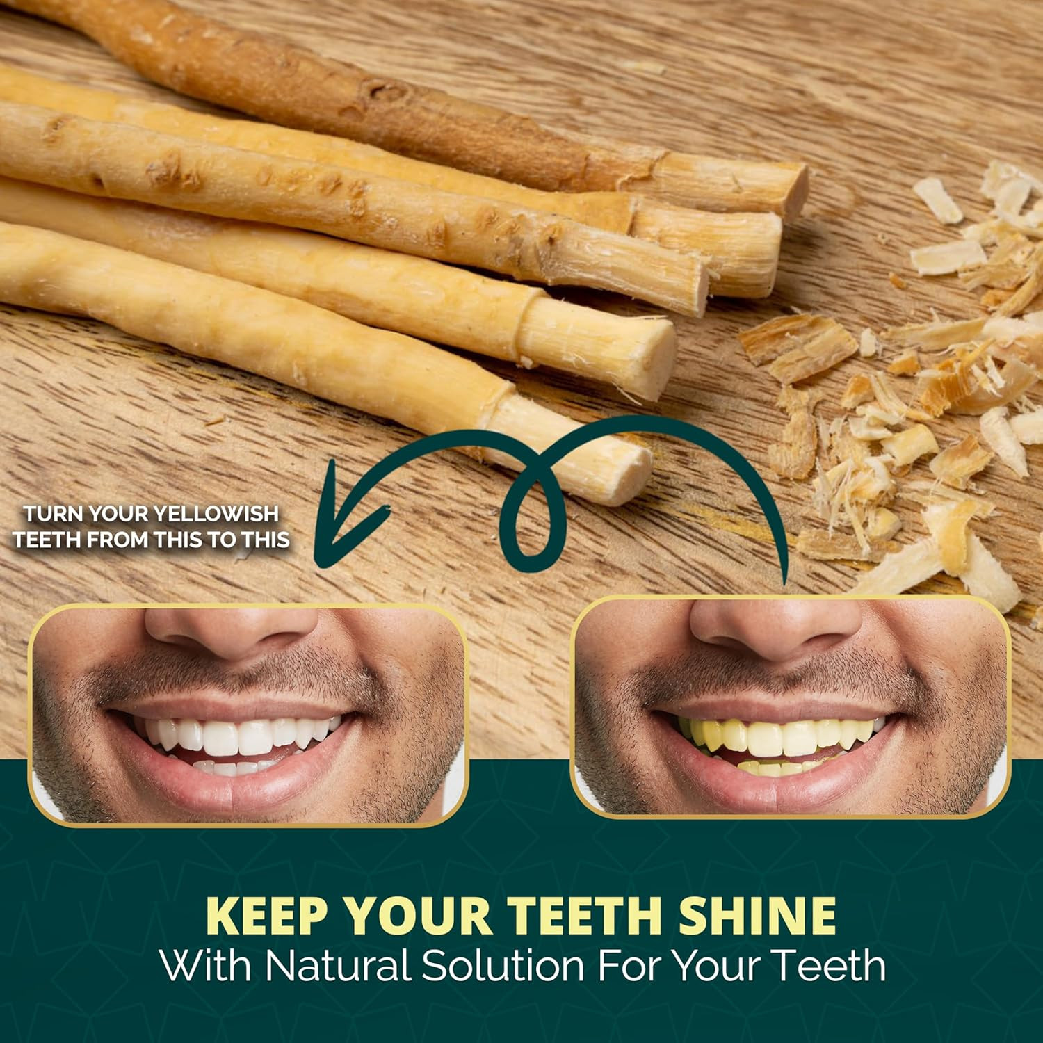 Pack of 12 Miswak Sticks for Teeth with Holder – Natural Toothbrush for Teeth Wh