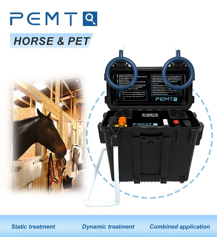 Pro PMST Magnetic Therapy PEMF EMTT Physio Magneto Home Use Pain Relief Machine