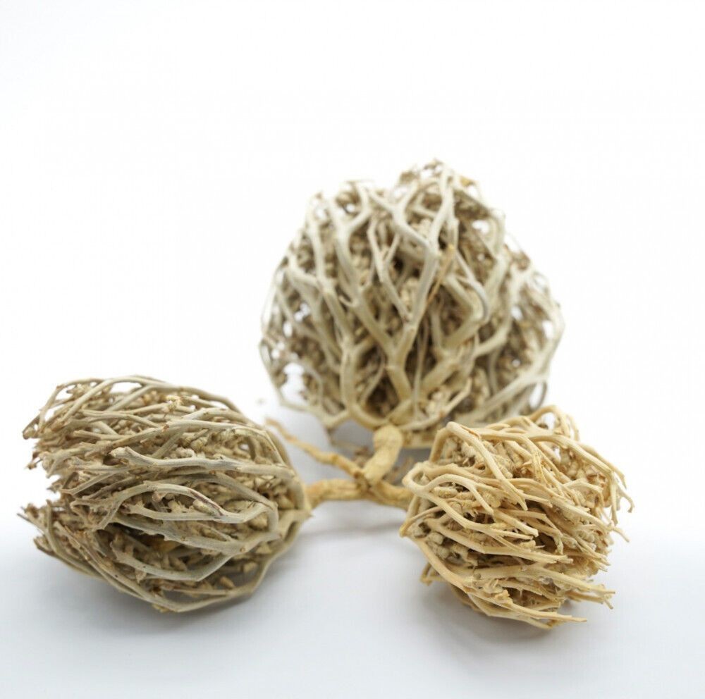 100grams Kaf Maryam Flower Of Maryam Chaste Herbs Palm Of Mary كف مريم
