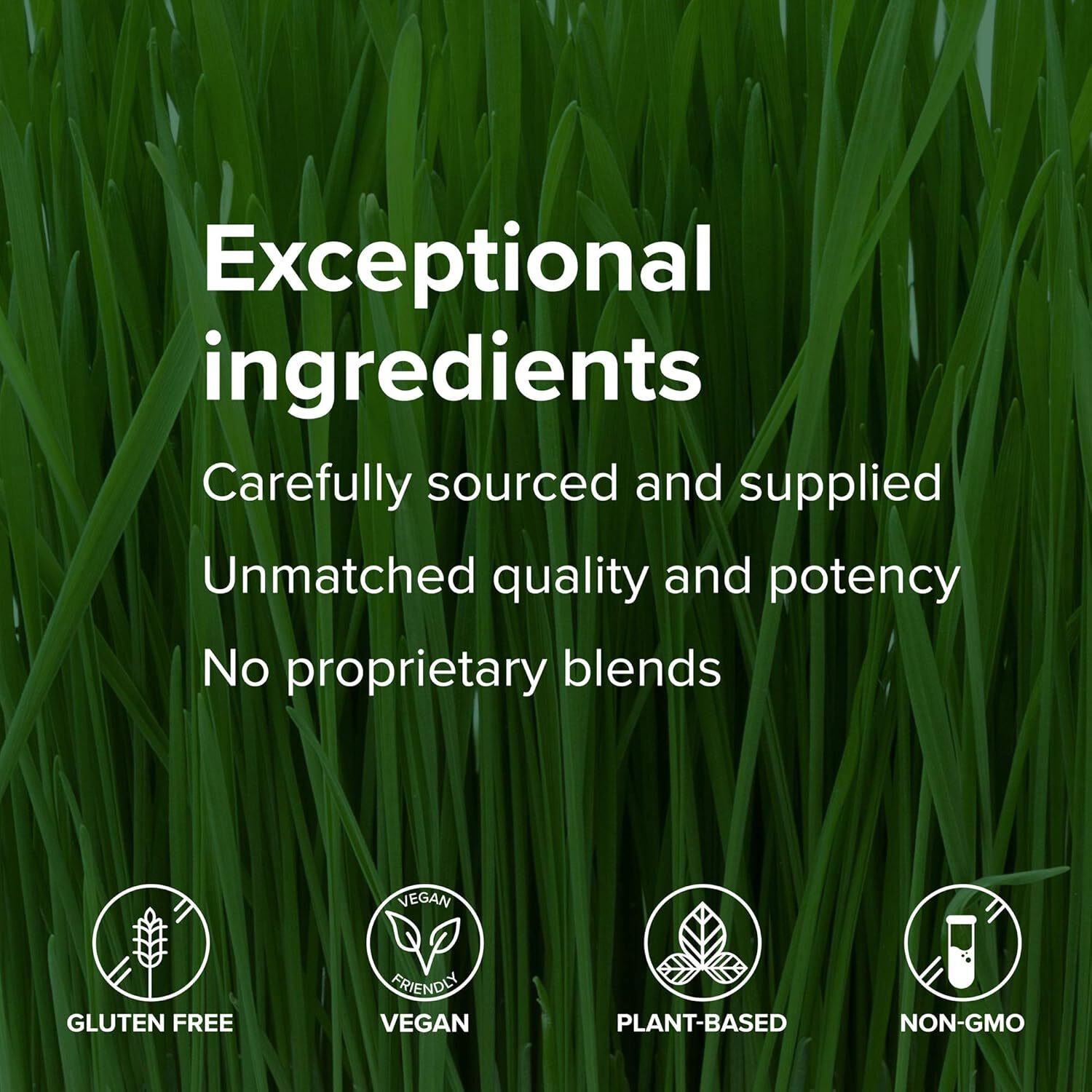 Vibrant Health – Super Natural C Amla, Acerola & Camu 60 vegetable Caps EXP 7/27