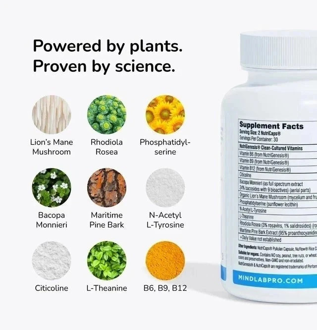 Universal Nootropic – Focus Memory Plus Mental Clarity 60 Capsules