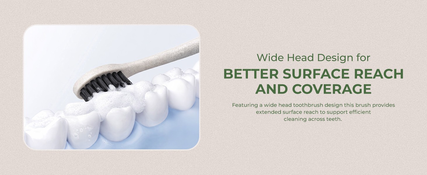 Wide Head Toothbrush Set with Cedarwood Wooden Handle & Soft Charcoal Bristles –