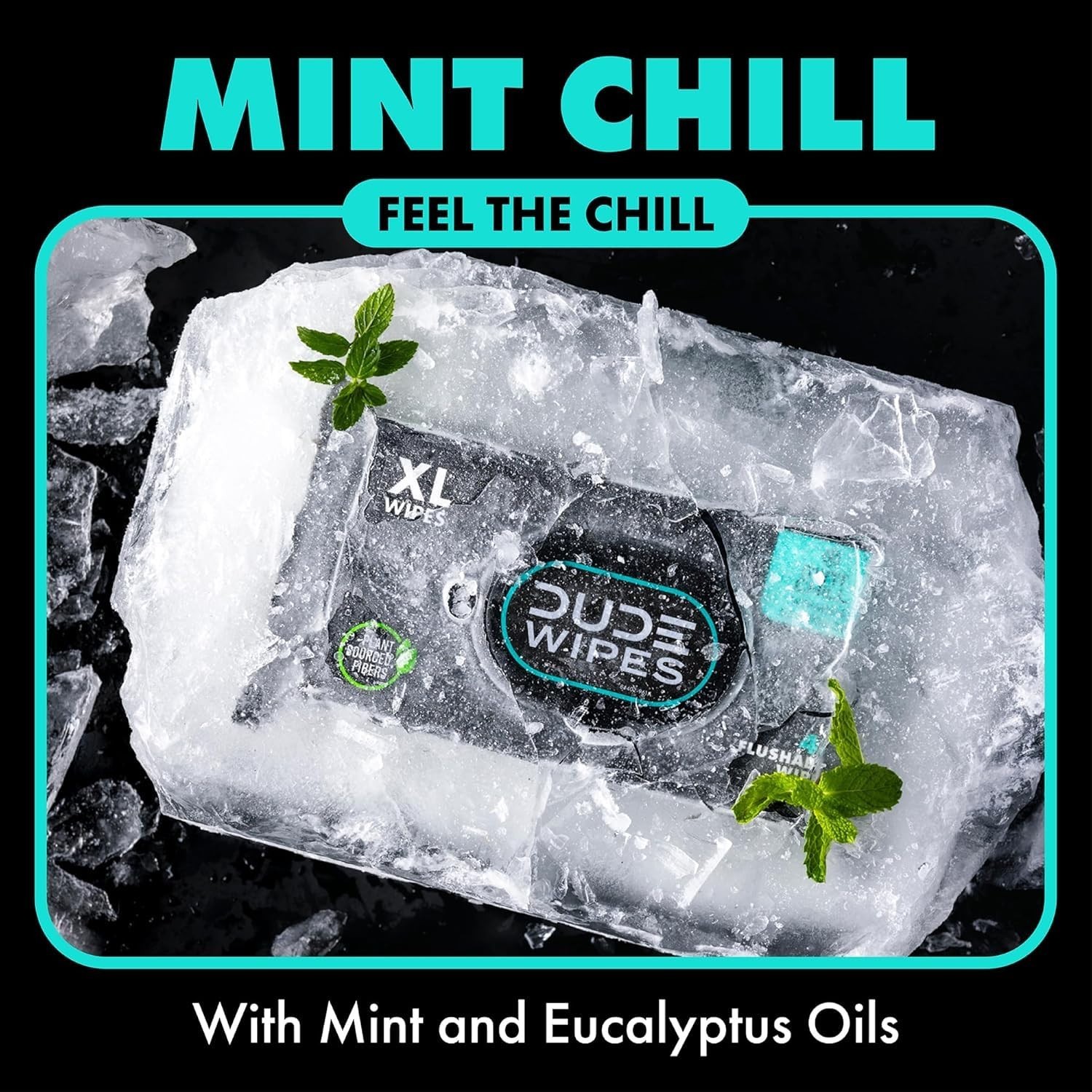 DUDE Wipes Mint Chill Flushable Wipes – Extra-Large Adult Wet Wipes – 3 Pack (14
