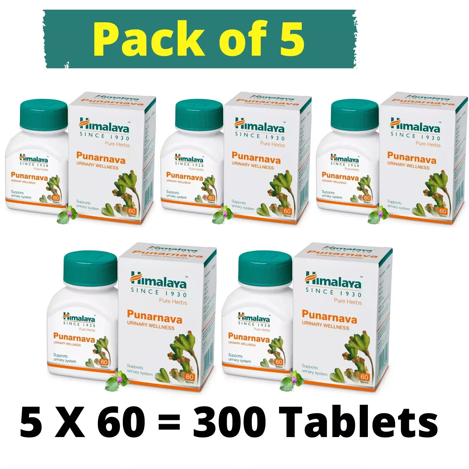 5 X Himalaya Punarnava 60 Tablets Each BEST PRICE