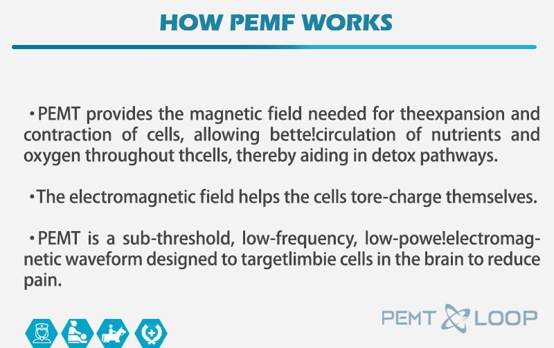 PMST Loop EMTT PEMF Machine Magnetic Physio Therapy Massage Pain Relief Animals