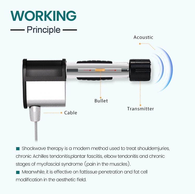 Pneumatic 10Bar ESWT Shock Wave Machine Physical Pain Relief Therapy US New