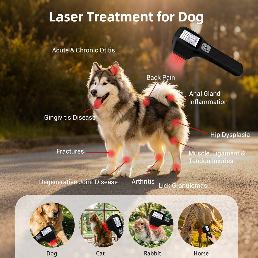 Touchscreen Low Level Laser Light Therapy For Chronic Pain Relief 2.5W 1-10000Hz