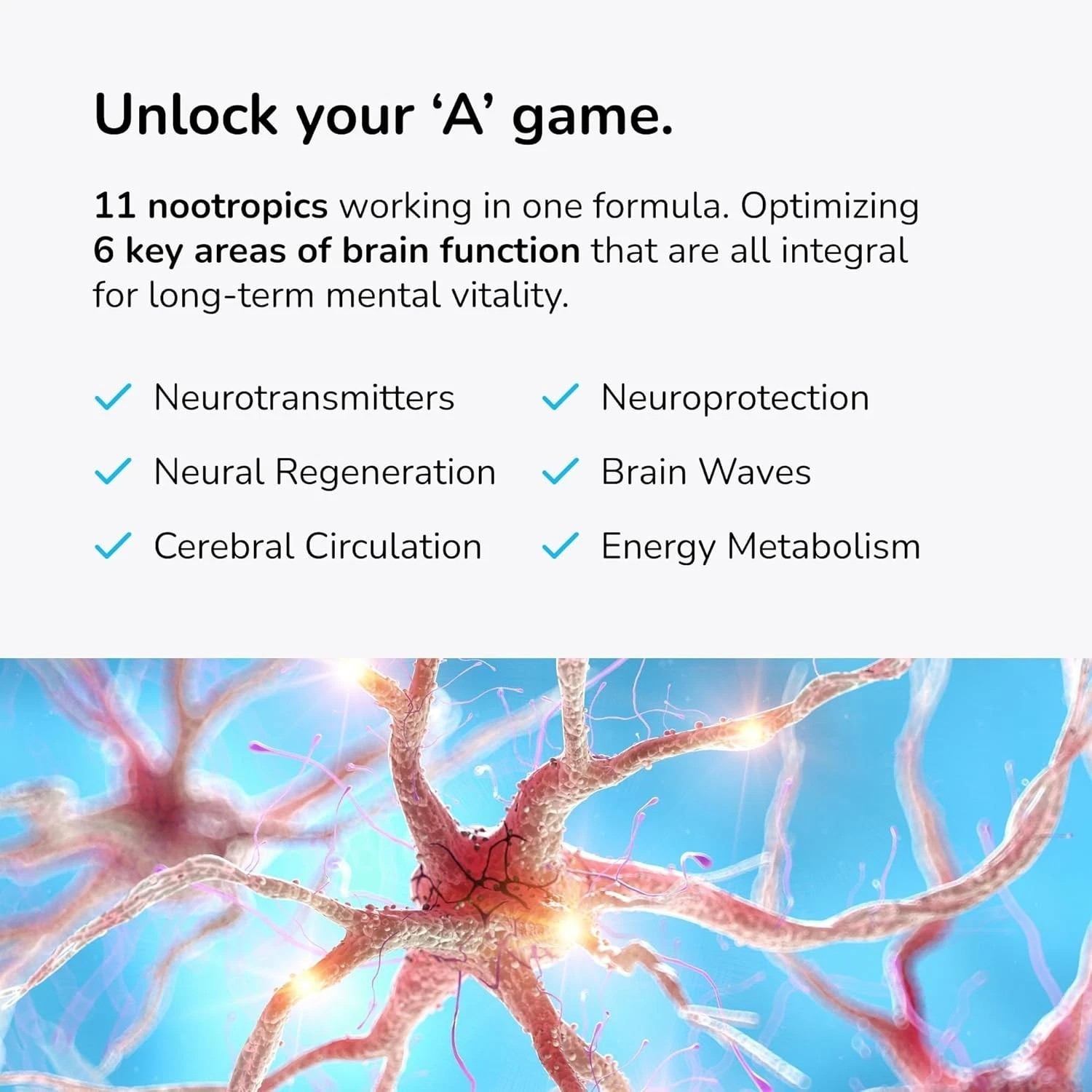Universal Nootropic™ Brain Booster Supplement for Focus