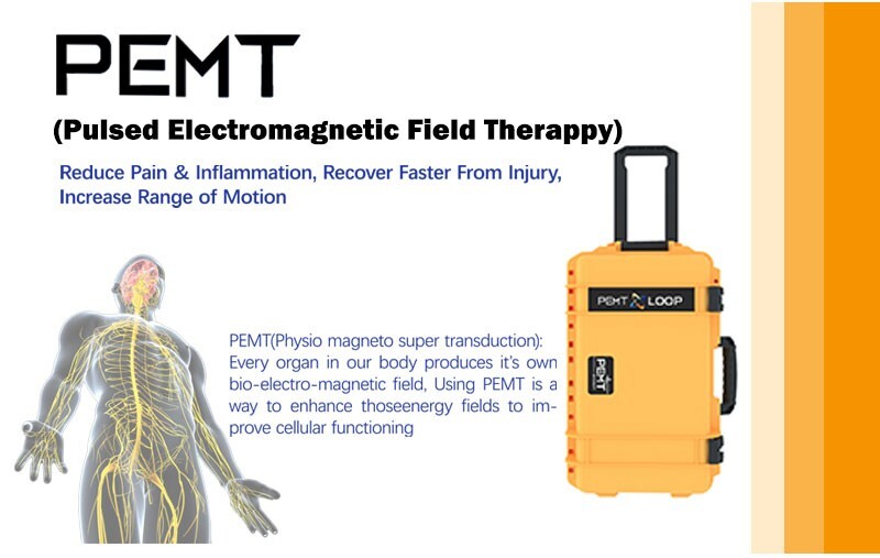 6000Gauss PEMF Magnetic Therapy Machine PEMT Loop Fo Frozen Shoulder Pain Relief