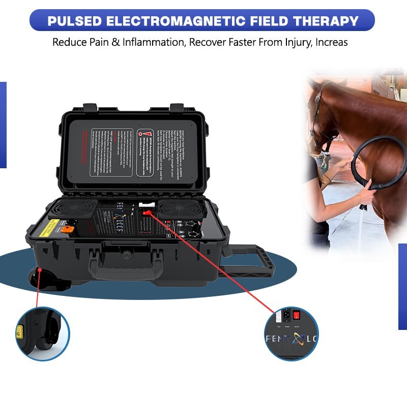PMST Loop EMTT PEMF Machine Magnetic Physio Therapy Massage Pain Relief Animals