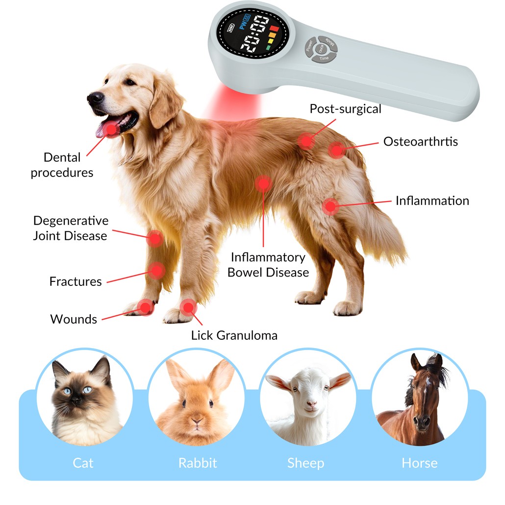 1760mW Handheld Cold Laser Therapy Device LLLT 660nm 810nm 980nm for Pain Relief
