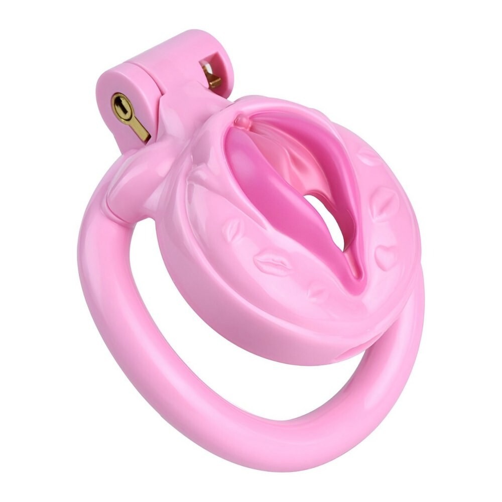 ABS Resin 4 Colors Sissy Realistic Pussy Chastity Cage with 4 Rings Lock Devices