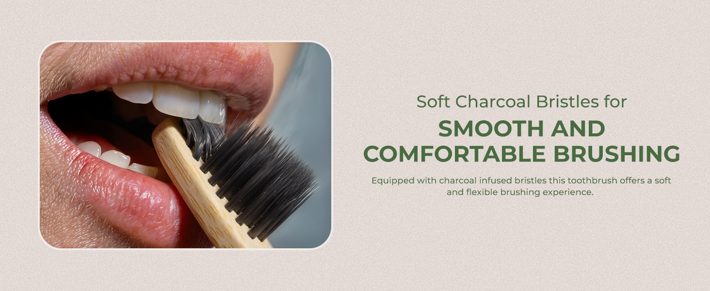 Wide Head Toothbrush Set with Cedarwood Wooden Handle & Soft Charcoal Bristles –