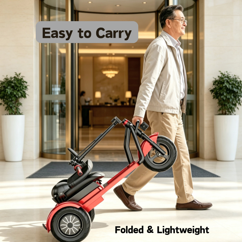 Daibot Foldable Electric Mobility Scooter 48V 1000W 3-Wheel Removable Battery
