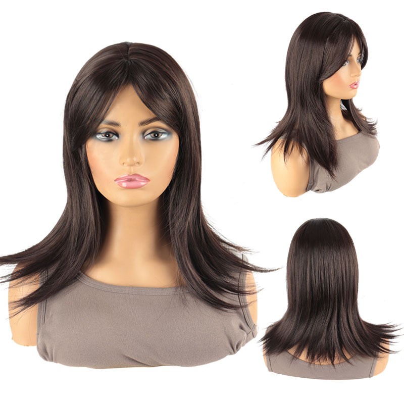 Brown Parted Bangs Long Straight Wig for Women Heat Resistant Synthetic Full Wig