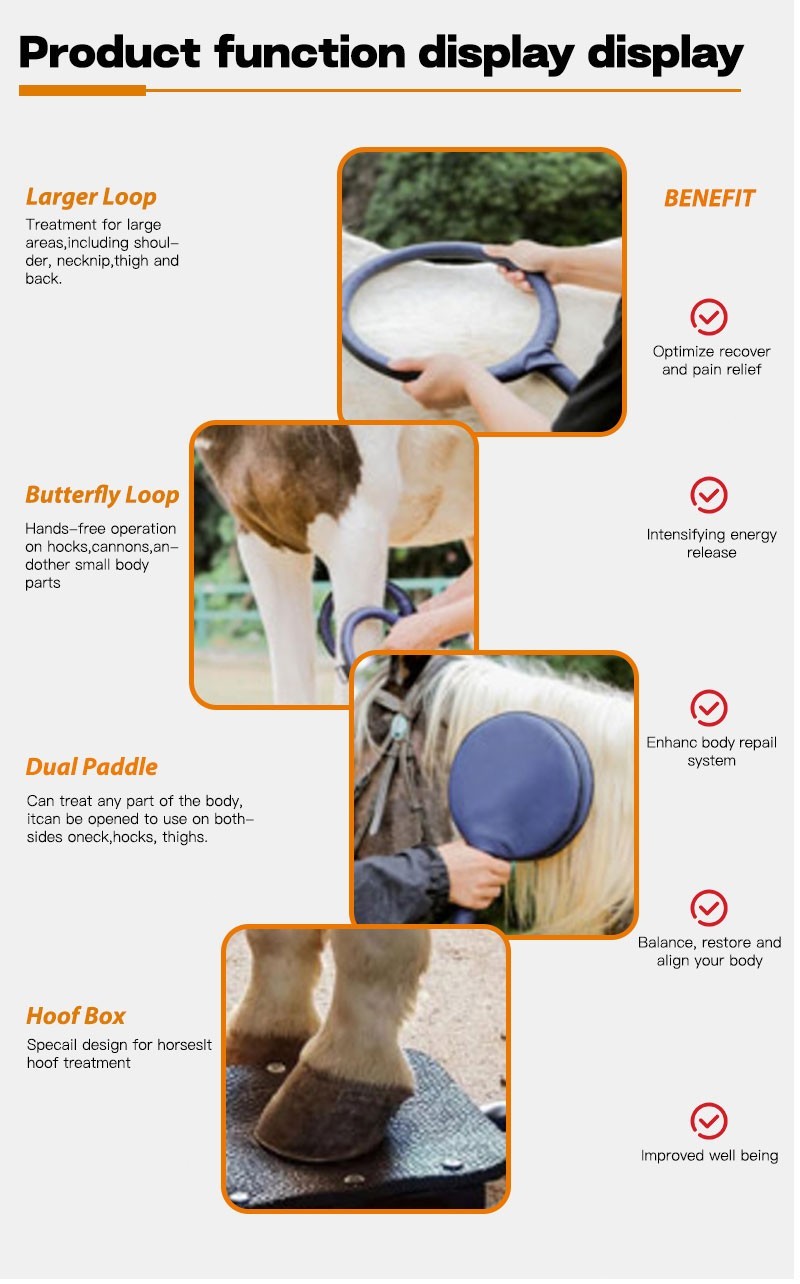 PEMF PMST LOOP Magnetic Therapy Machine for Horse Human Pain Rehabilitation