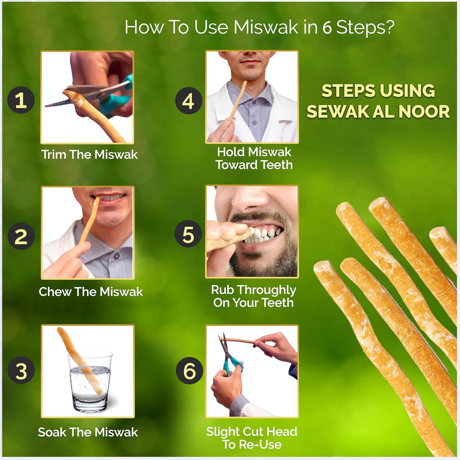 Pack of 12 Miswak Sticks for Teeth with Holder – Natural Toothbrush for Teeth Wh