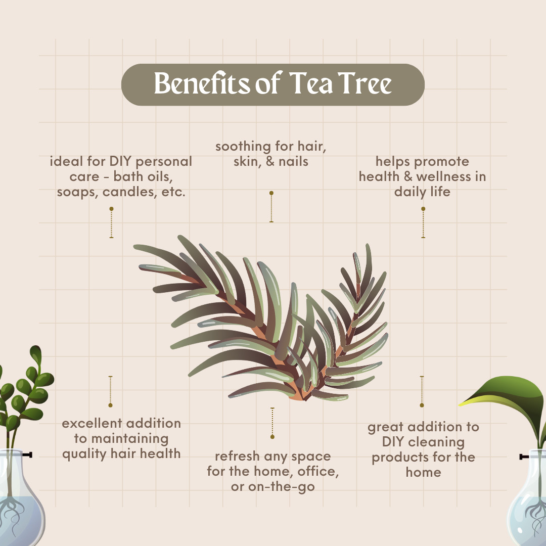Tea Tree Essential Oil 100% Pure Many Sizes Free Shipping – GreenHealth
