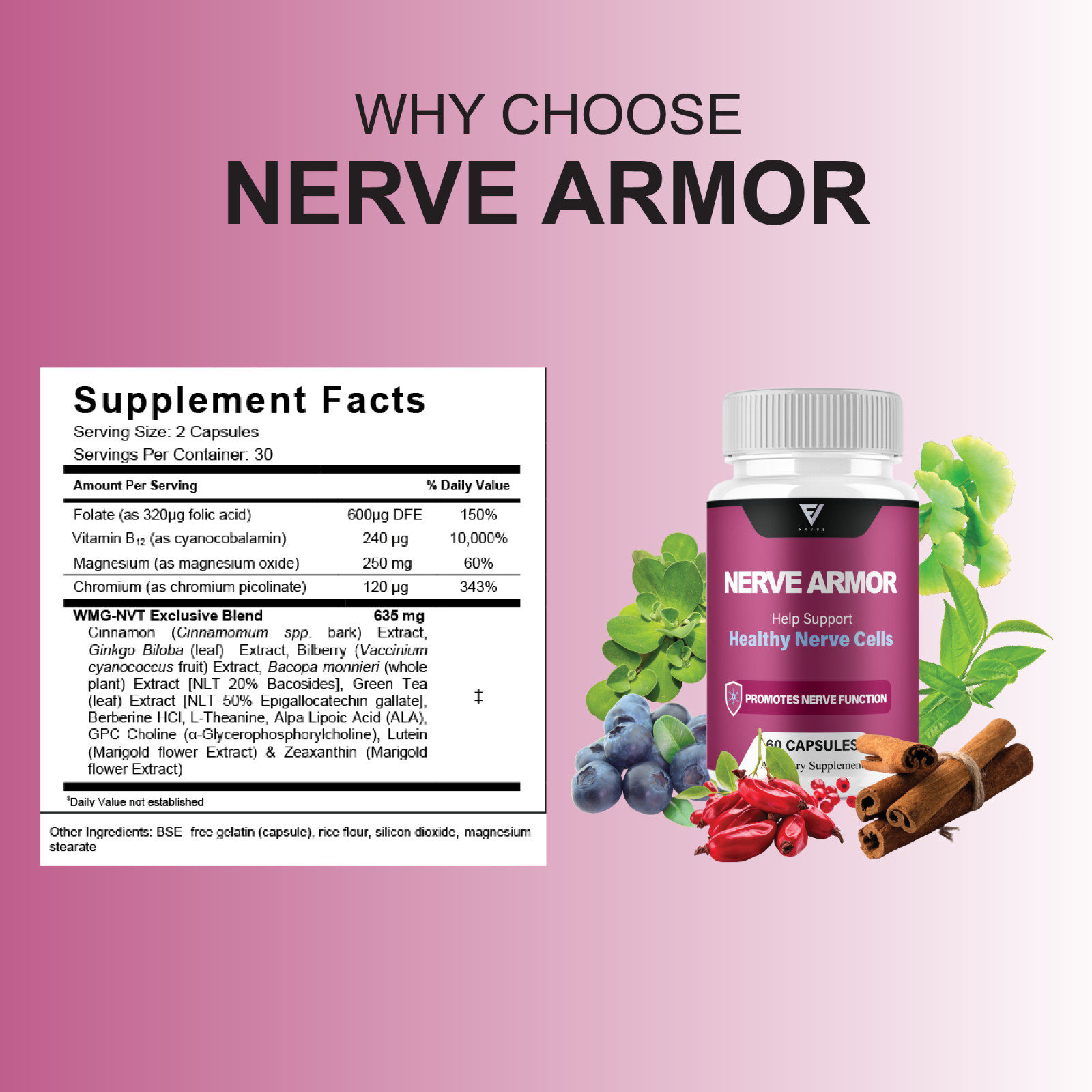 (2 Pack) Nerve Armor Brain Pills, NerveArmor Support Supplement (120 Capsules)