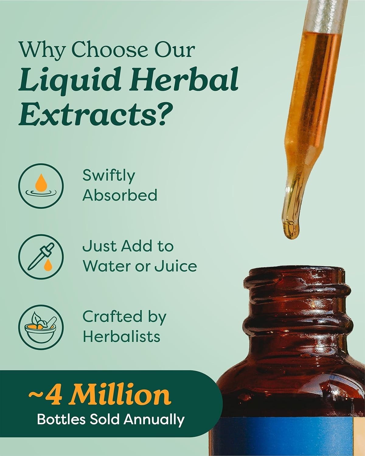 Passionflower Liquid Extract – Holistic Nervous System Support Supplement