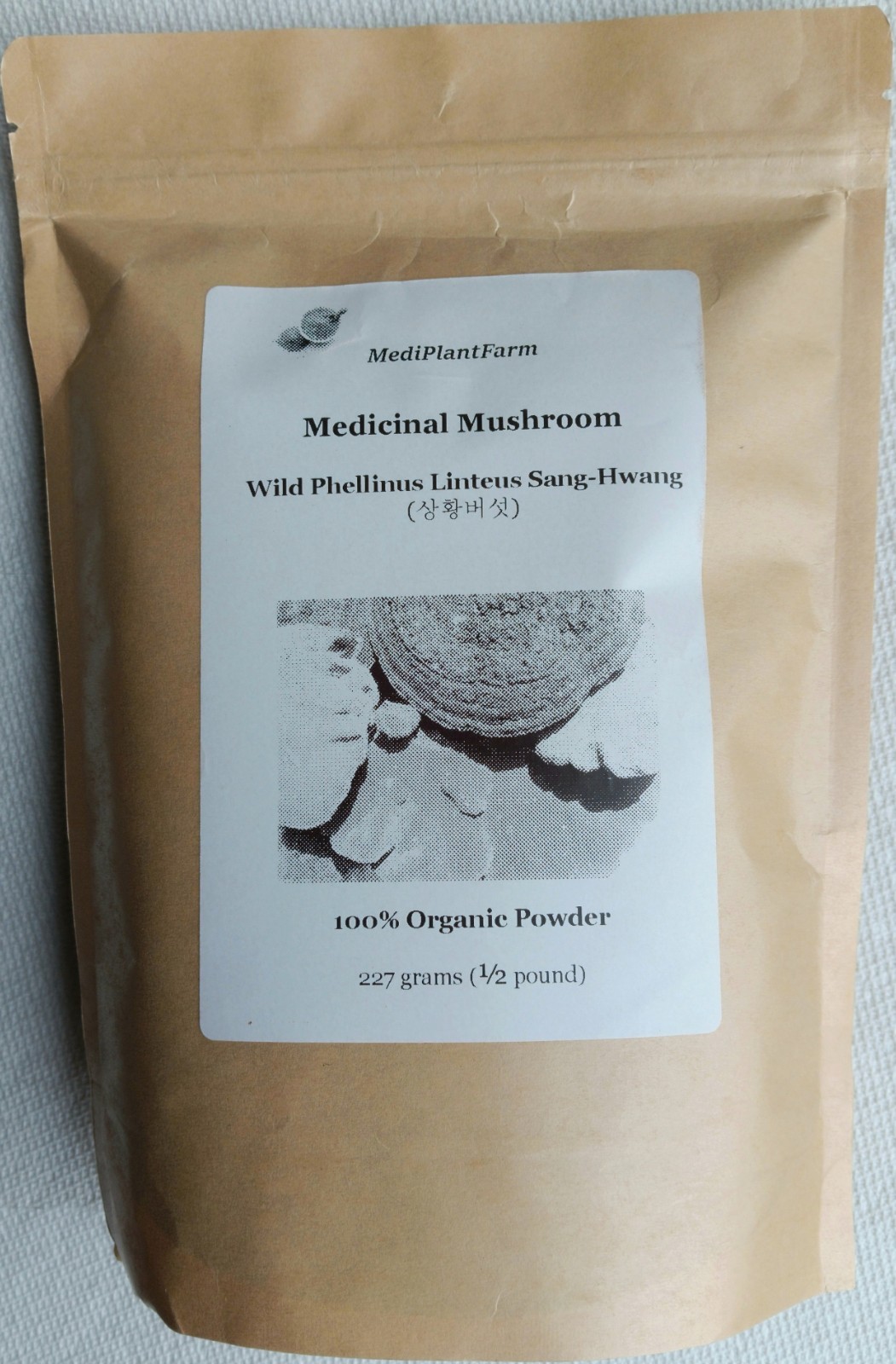 Wild Phellinus Linteus Mushroom Powder Sanghwang Mesima 상황버섯 100% Pure 8oz
