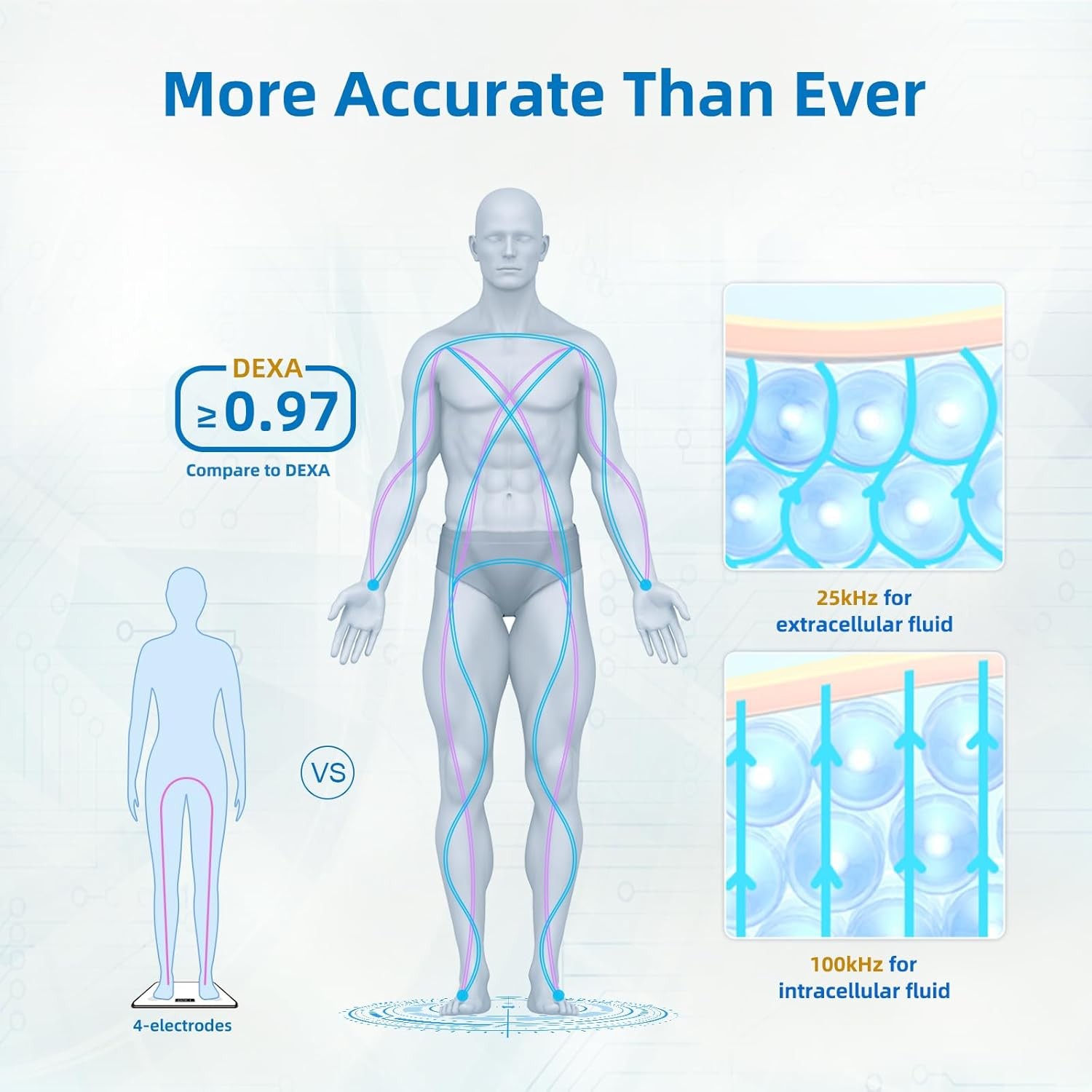 Body Fat Scales with Hand Sensor Full Body Composition Scale Universal White