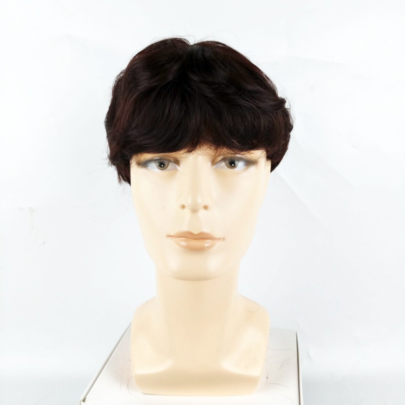 Unisex Cool Short Loose Wavy Curly Wigs Students Natural Synthetic Full Wig
