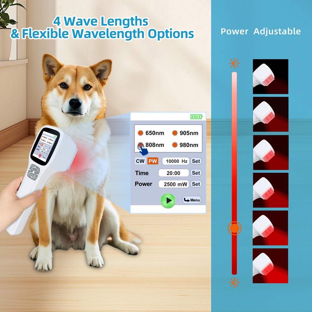 2.5W Cold Laser Therapy LLLT Device for Neck Back, Spinal Pain Relief 25 Diodes