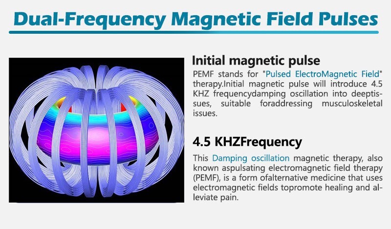 PMST Loop EMTT PEMF Machine Magnetic Physio Therapy Massage Pain Relief Animals