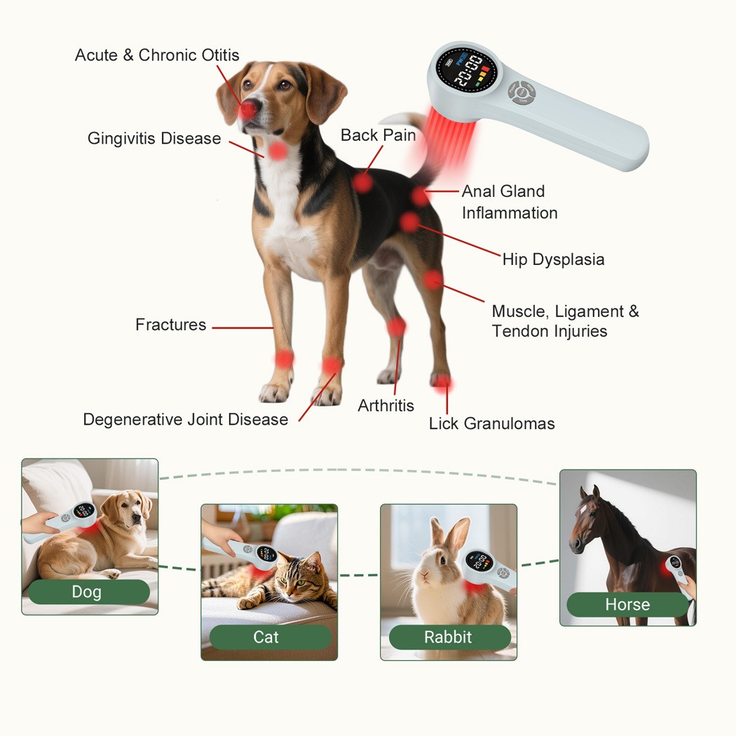 Low Level Laser Therapy Device Cold Laser for Pain Treatment 660nm 810nm 980nm