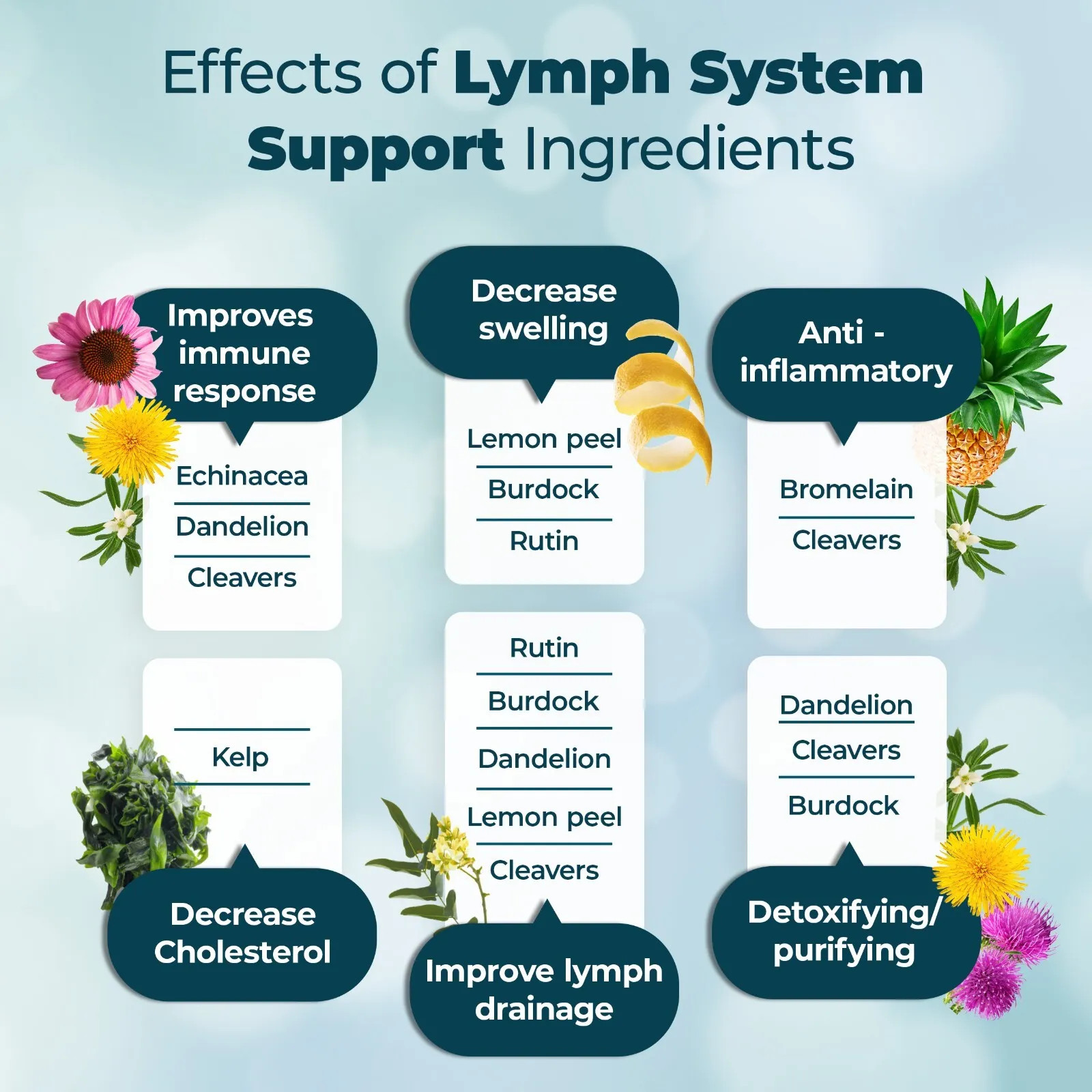 Lymphatic Supplement Reduces Swelling Support Lymphatic 60 Capsule Immune System