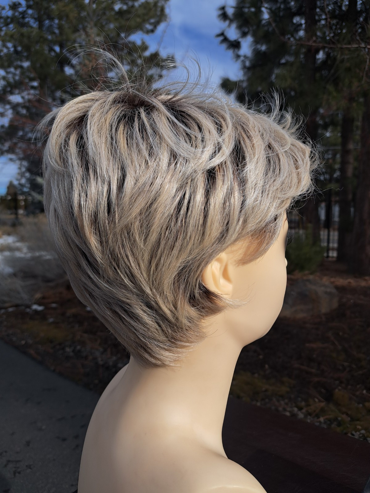 Ellen Wille Changes Short Rooted Unknown Style/Color Blonde Wig