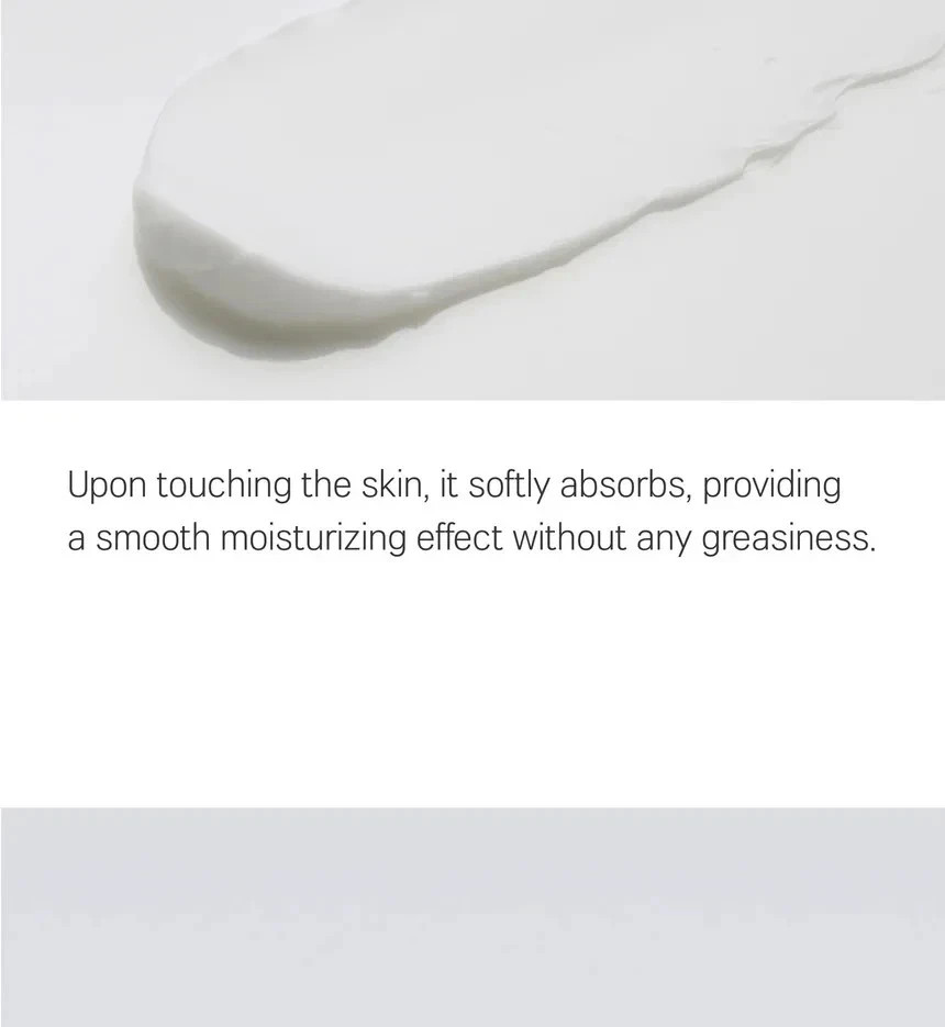 ROUND LAB Soybean Panthenol Cream 80ml – Barrier Repair Moisturizer