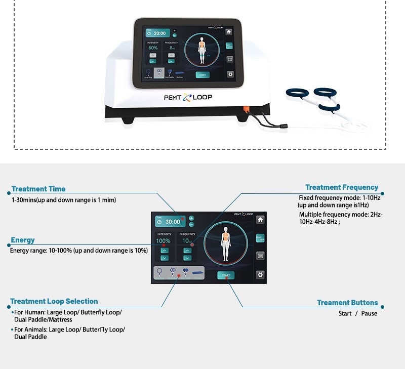 Professional PMST Loop EMTT PEMF Machine Physio Magnetic Therapy Pain Relief