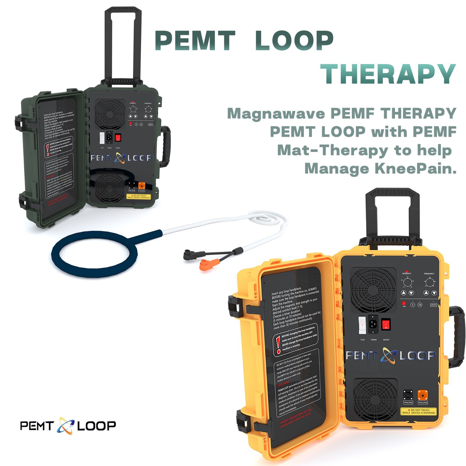 PMST Loop EMTT PEMF Machine Magnetic Physio Therapy Massage Pain Relief Animals