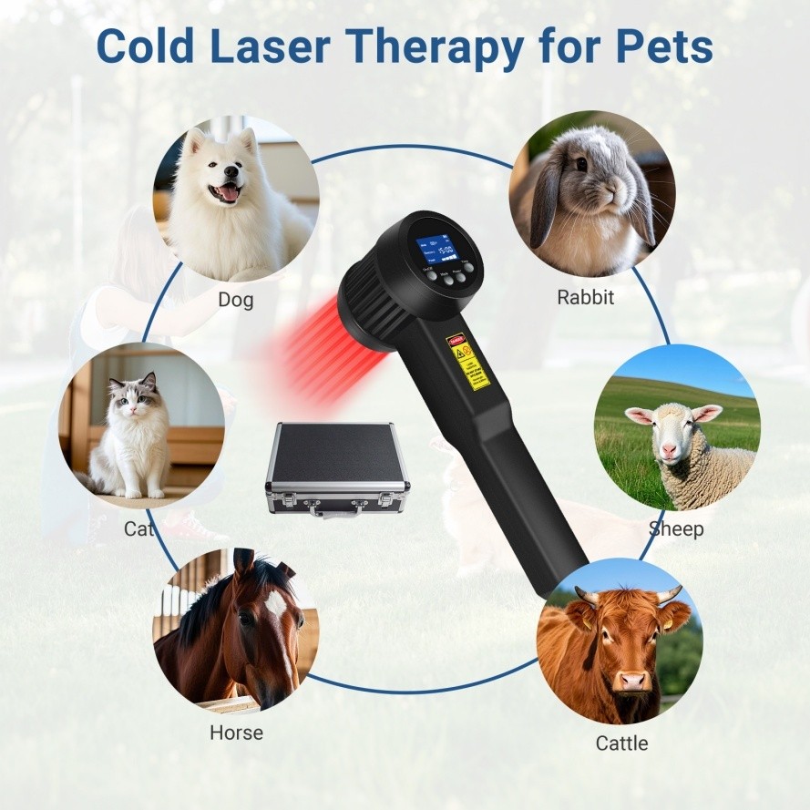 5W Cold Laser Therapy Rechargeable 650NM*10 808NM*15 Pet Dog Back Pain Relief