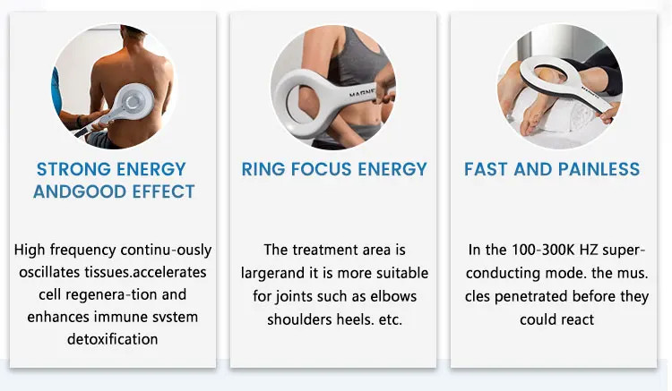 PMST Magnetic Therapy PEMF EMTT Physio Magneto Home Use Pain Relief Massager
