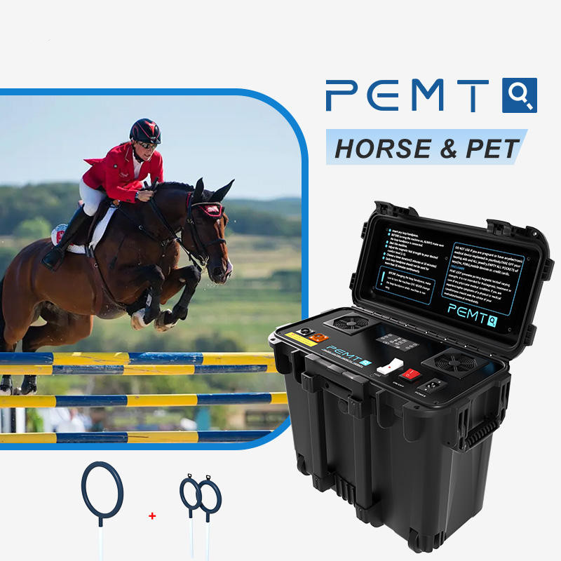 Pro PMST Magnetic Therapy PEMF EMTT Physio Magneto Home Use Pain Relief Machine