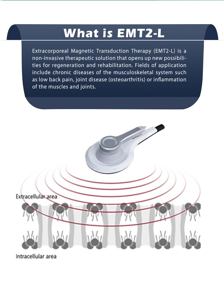 Protable PEMF EMTT Magnetic Physio Therapy Health Massage Device PMST Machine