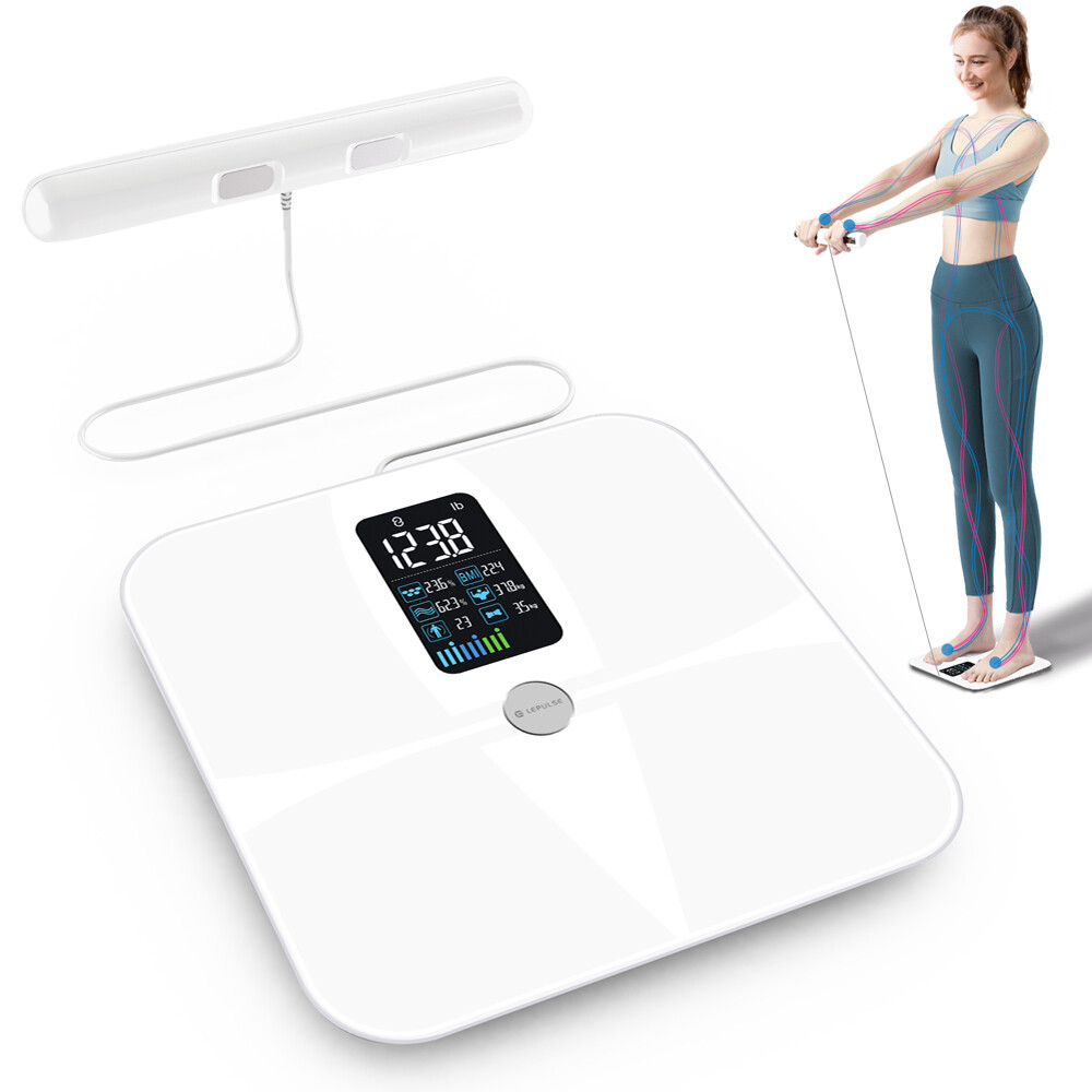 Body Fat Scales with Hand Sensor Full Body Composition Scale Universal White