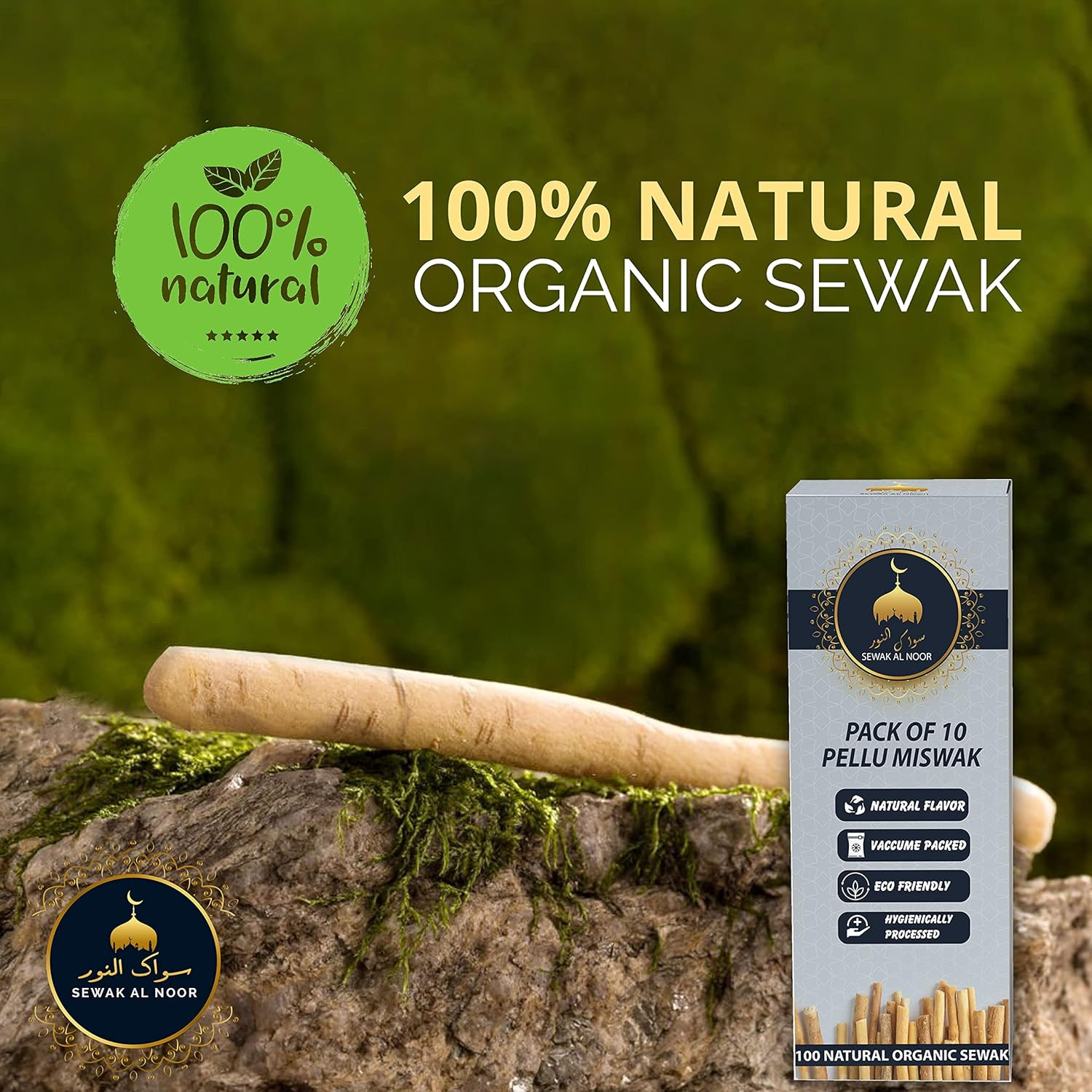 Miswak Sticks Pack of 10 with Holder – Vacuum Sealed Natural Flavored Chew Stick