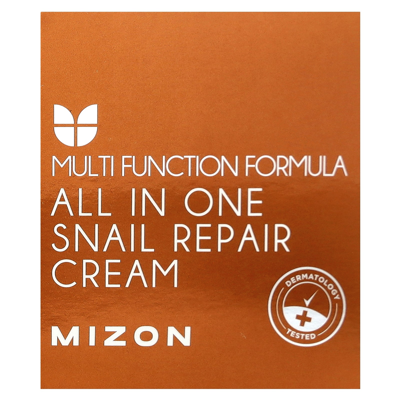 All In One Snail Repair Cream, 2.53 fl oz (75 ml)