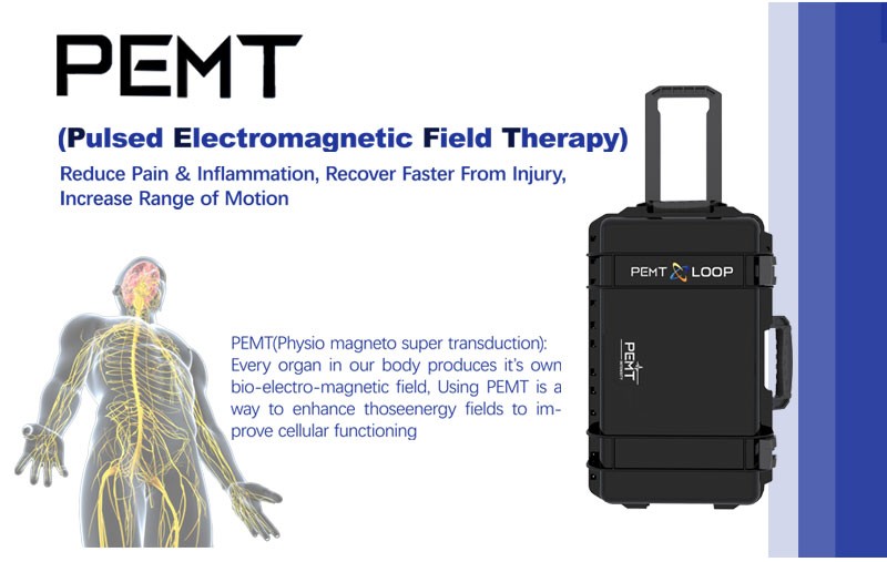 PEMF Pulse Electromagnetic Therapy PMST Machine Magnetic Physio Therapy Magneto
