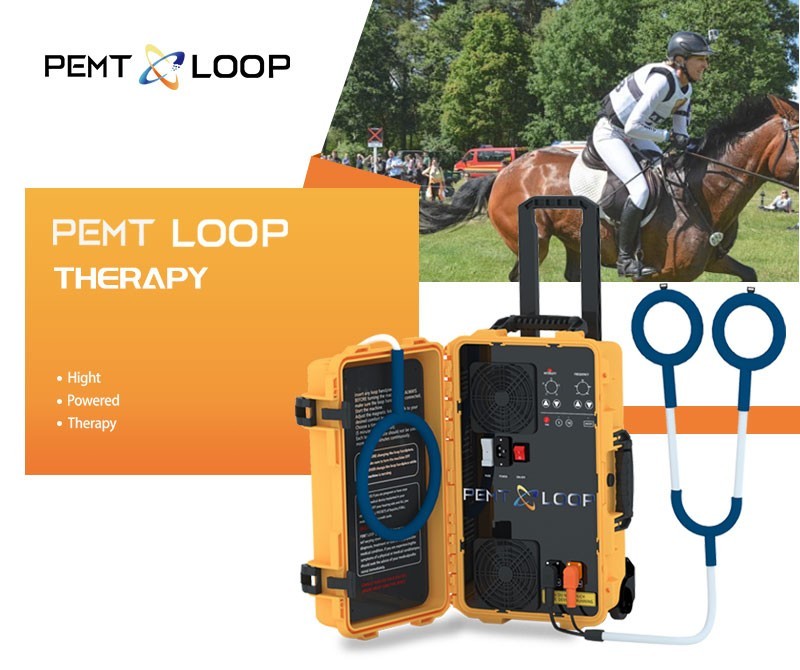 PEMF PMST LOOP Magnetic Therapy Machine for Horse Human Pain Rehabilitation
